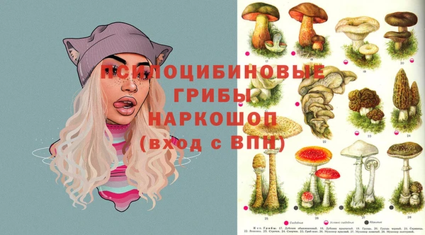 наркотики Белокуриха
