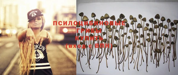 стафф Белоозёрский