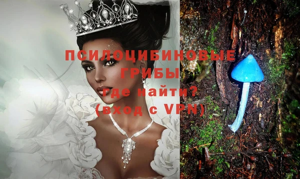 стафф Белоозёрский