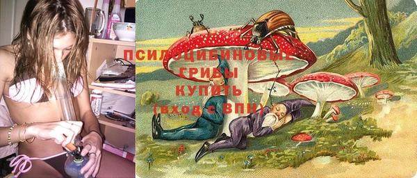 стафф Белоозёрский